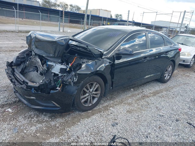 Hyundai Sonata 2.4l Se 2016 5NPE24AF9GH430455 Image 2