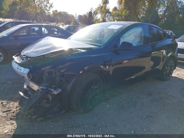 2023 TESLA MODEL Y AWD/LONG RANGE DUAL MOTOR ALL-WHEEL DRIVE VIN: 7SAYGAEE4PF648447
