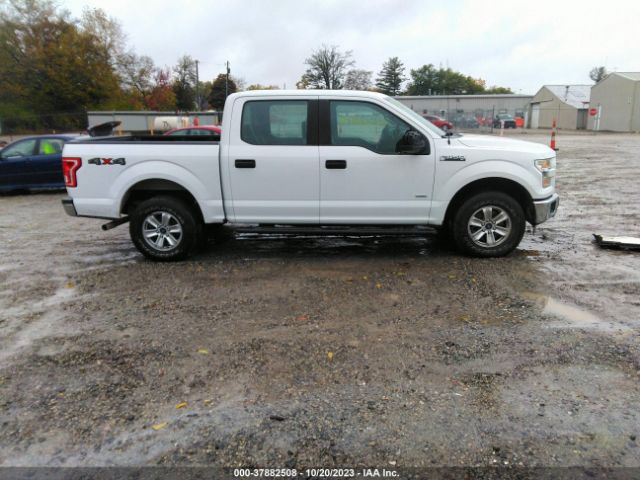 1FTEW1EP8FFC14028 Ford F-150 Xlt/xl/lariat