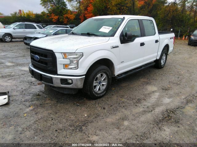 1FTEW1EP8FFC14028 Ford F-150 Xlt/xl/lariat