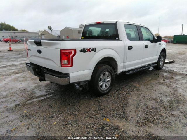 1FTEW1EP8FFC14028 Ford F-150 Xlt/xl/lariat