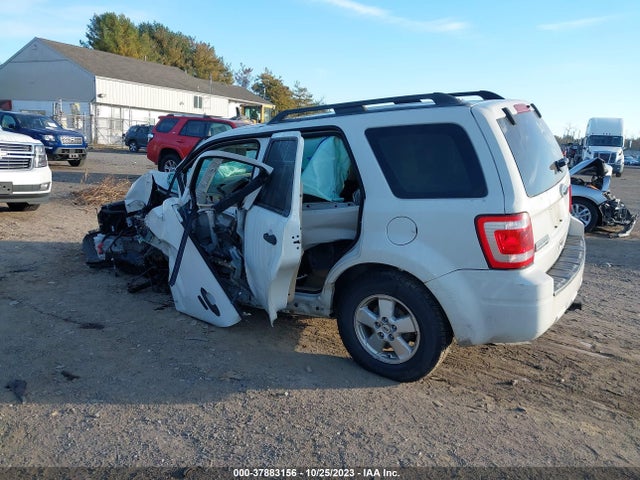 2011 FORD ESCAPE XLT VIN: 1FMCU9D75BKA69590