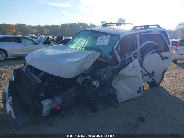 2011 FORD ESCAPE XLT VIN: 1FMCU9D75BKA69590