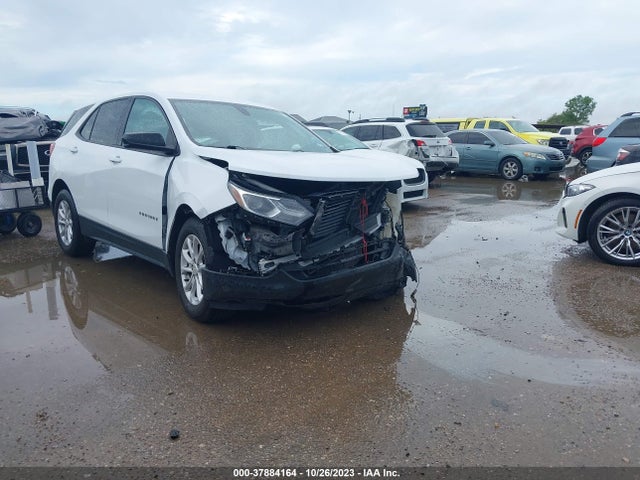 Chevrolet EQUINOX LS 2018 2GNAXHEV2J6317166 Image 1