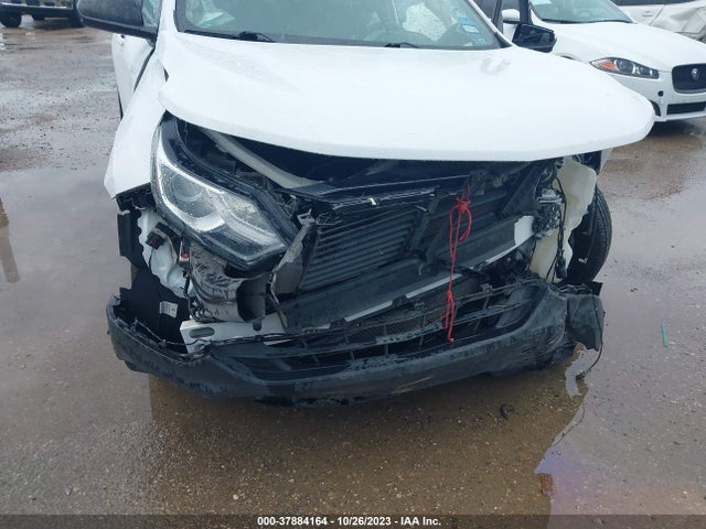 Chevrolet EQUINOX LS 2018 2GNAXHEV2J6317166 Image 10