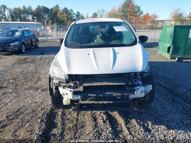 1FMCU0F77EUA78566 Ford ESCAPE S