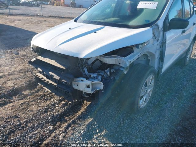 1FMCU0F77EUA78566 Ford ESCAPE S