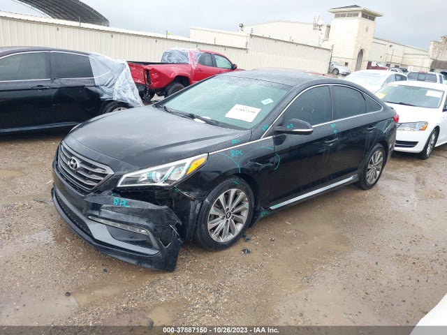 2016 HYUNDAI SONATA SPORT VIN: 5NPE34AF7GH348737