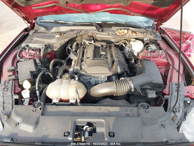 2019 FORD MUSTANG ECOBOOST VIN: 1FA6P8TH3K5114625