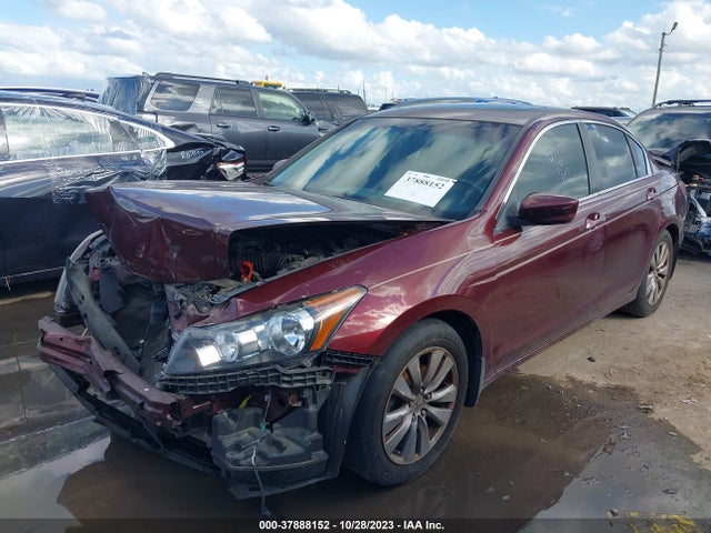 2011 HONDA ACCORD SDN EX-L VIN: 1HGCP2F84BA006934