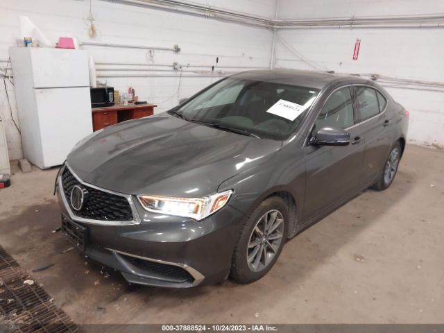 19UUB1F34JA011549 Acura TLX