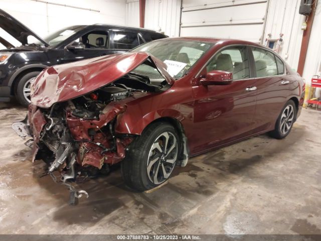 1HGCR2F8XHA175794 Honda Accord Ex-l