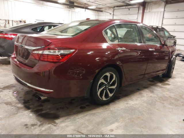 1HGCR2F8XHA175794 Honda Accord Ex-l