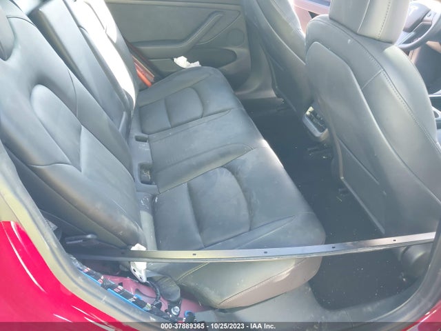 2022 TESLA MODEL 3 5YJ3E1EB7NF344335 Photo 7