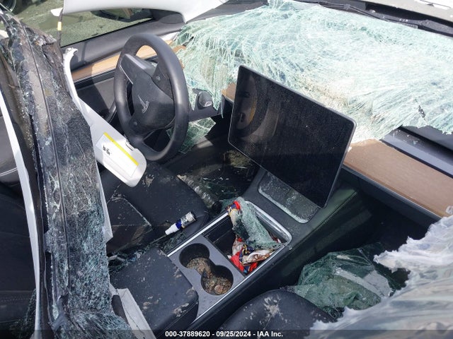 2023 TESLA MODEL 3 5YJ3E1EA6PF420895 Photo 4