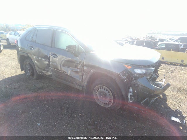 Toyota RAV4 LE 2019 JTMF1RFV2KD011253 zdjęcie główne