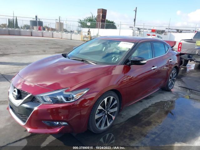 1N4AA6AP1HC439496 Nissan Maxima Sr