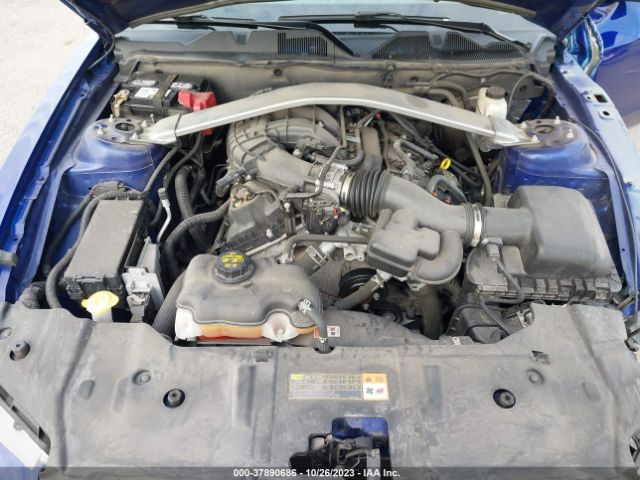 1ZVBP8AM7E5251772 Ford Mustang V6
