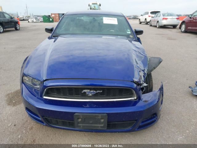 1ZVBP8AM7E5251772 Ford Mustang V6