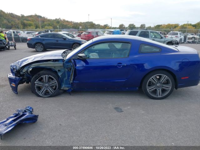 1ZVBP8AM7E5251772 Ford Mustang V6