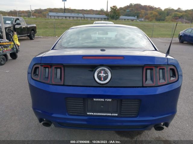 1ZVBP8AM7E5251772 Ford Mustang V6