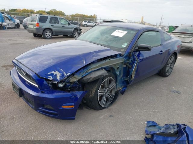 1ZVBP8AM7E5251772 Ford Mustang V6