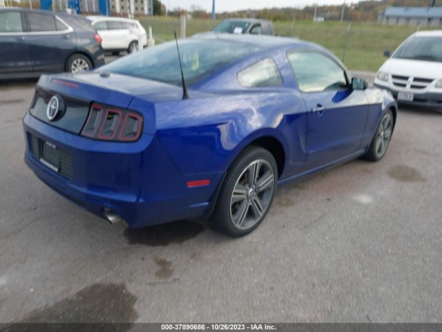 1ZVBP8AM7E5251772 Ford Mustang V6