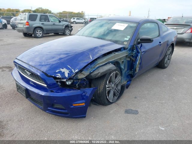 1ZVBP8AM7E5251772 Ford Mustang V6