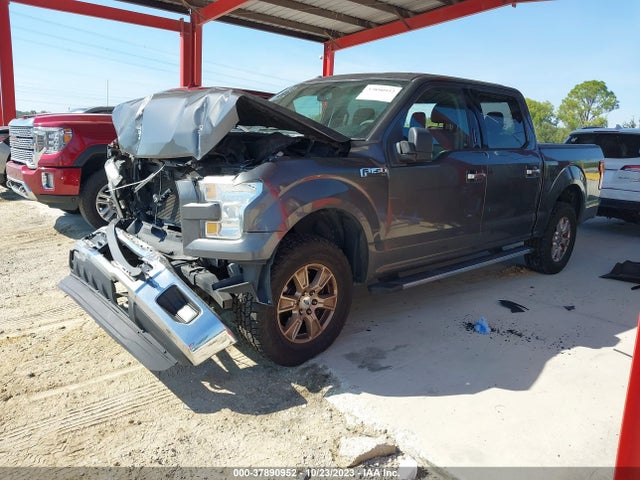 Ford F-150 Xlt 2015 1FTEW1E81FFA55636 Image 2