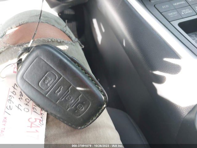 Toyota Rav4 Xle 2019 2T3P1RFVXKW044265 Image 11