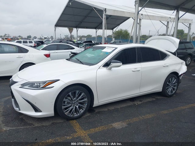 2021 LEXUS ES 300H VIN: 58ADA1C10MU009406