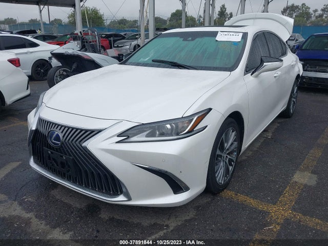 2021 LEXUS ES 300H VIN: 58ADA1C10MU009406