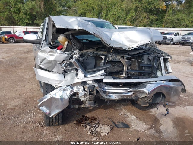 2010 GMC SIERRA 1500 SLE VIN: 1GTSCVE03AZ120894