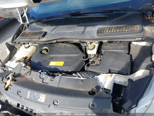 2014 FORD ESCAPE SE VIN: 1FMCU0GX4EUD14167