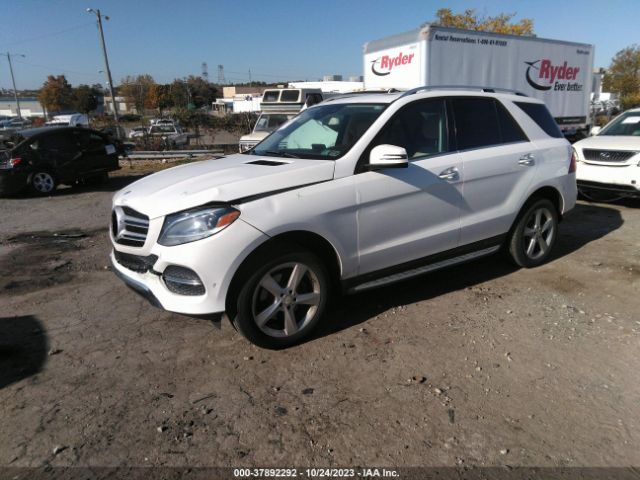4JGDA5HB1GA696238 Mercedes-Benz Gle Gle 350
