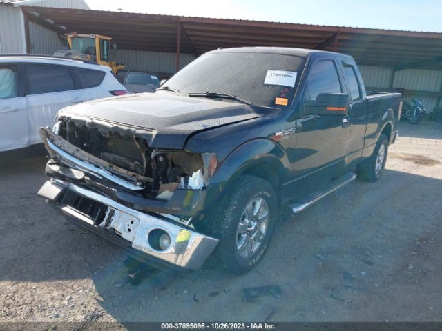 1FTEX1CM4EFA89596 Ford F-150 Xl/stx/xlt