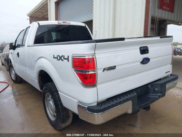 1FTEX1EM0EFA46712 Ford F-150 Xl/stx/xlt