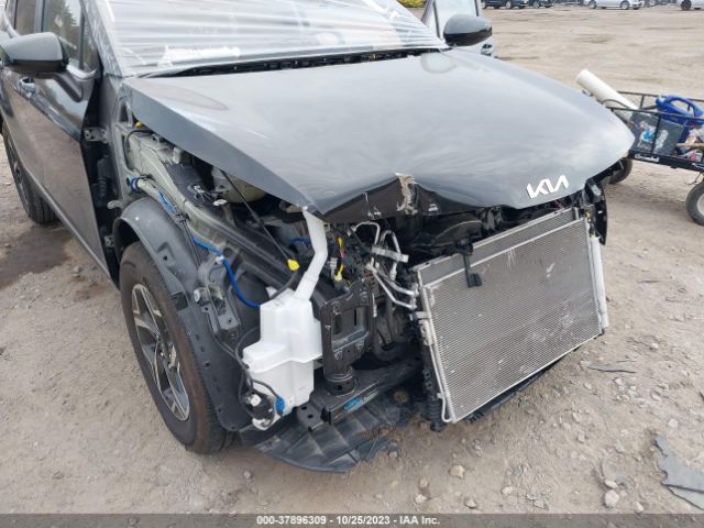 KNDPUCAF0P7036344 KIA Sportage Lx