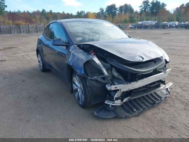 2023 TESLA MODEL Y 7SAYGDEE2PA027867