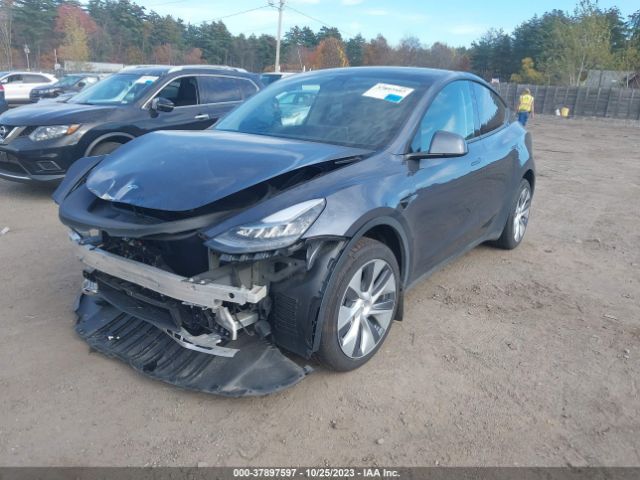 2023 TESLA MODEL Y 7SAYGDEE2PA027867 Photo 1