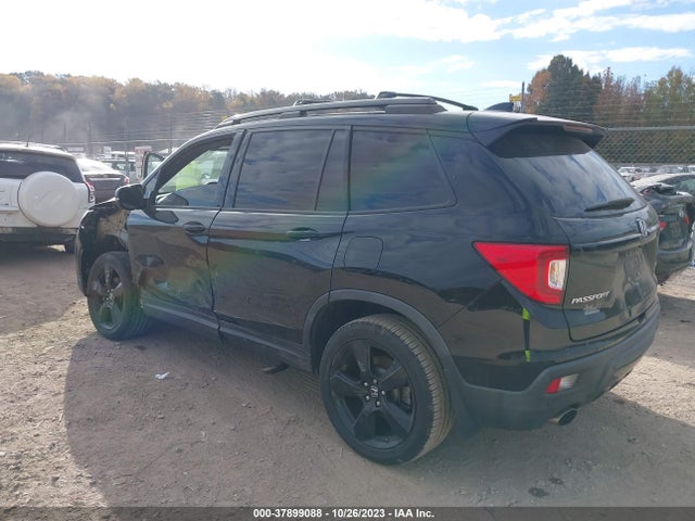 Honda Passport Elite 2019 5FNYF8H04KB003962 Image 3