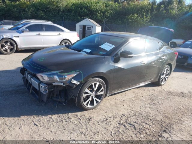 1N4AA6AP9HC367964 Nissan MAXIMA SL