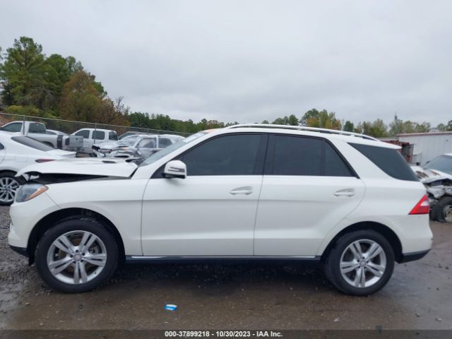 4JGDA5HB9FA599786 Mercedes-Benz M-class Ml 350