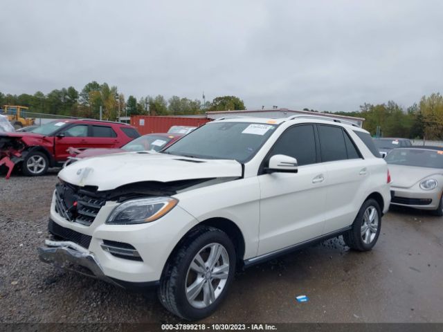 4JGDA5HB9FA599786 Mercedes-Benz M-class Ml 350