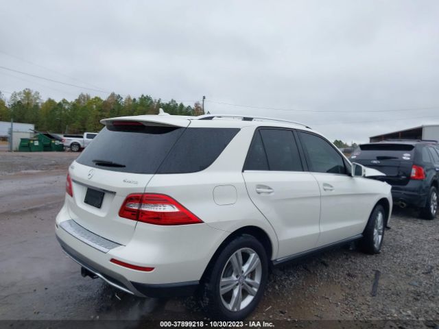 4JGDA5HB9FA599786 Mercedes-Benz M-class Ml 350