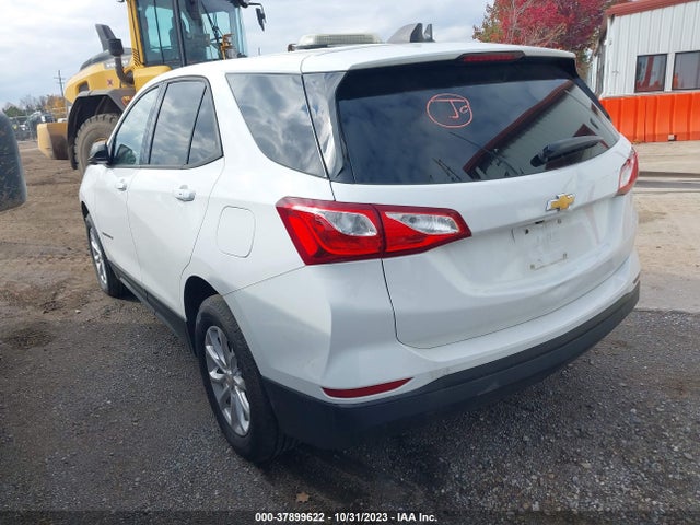 Chevrolet EQUINOX LS 2019 3GNAXSEV6KS593169 Image 3