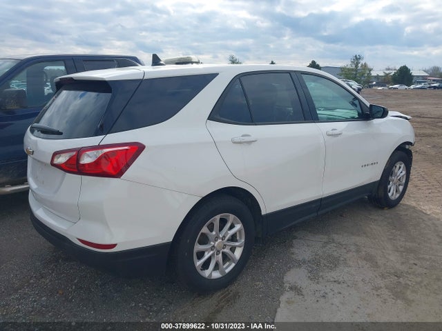 Chevrolet EQUINOX LS 2019 3GNAXSEV6KS593169 Image 4