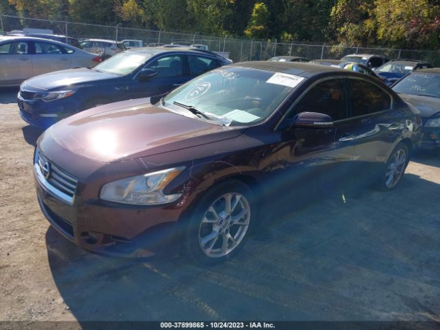 1N4AA5AP5EC442195 Nissan Maxima 3.5 Sv W/premium Pkg