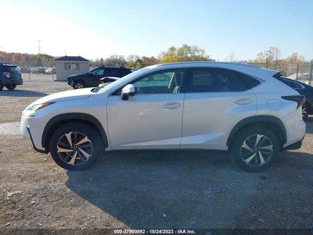 Lexus NX 2019 JTJBARBZXK2189427 Image 15