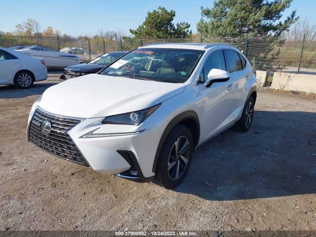 Lexus NX 2019 JTJBARBZXK2189427 Image 2
